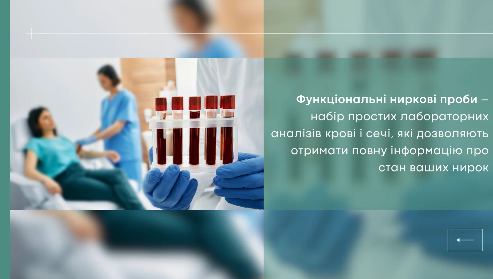 Функціональні ниркові проби