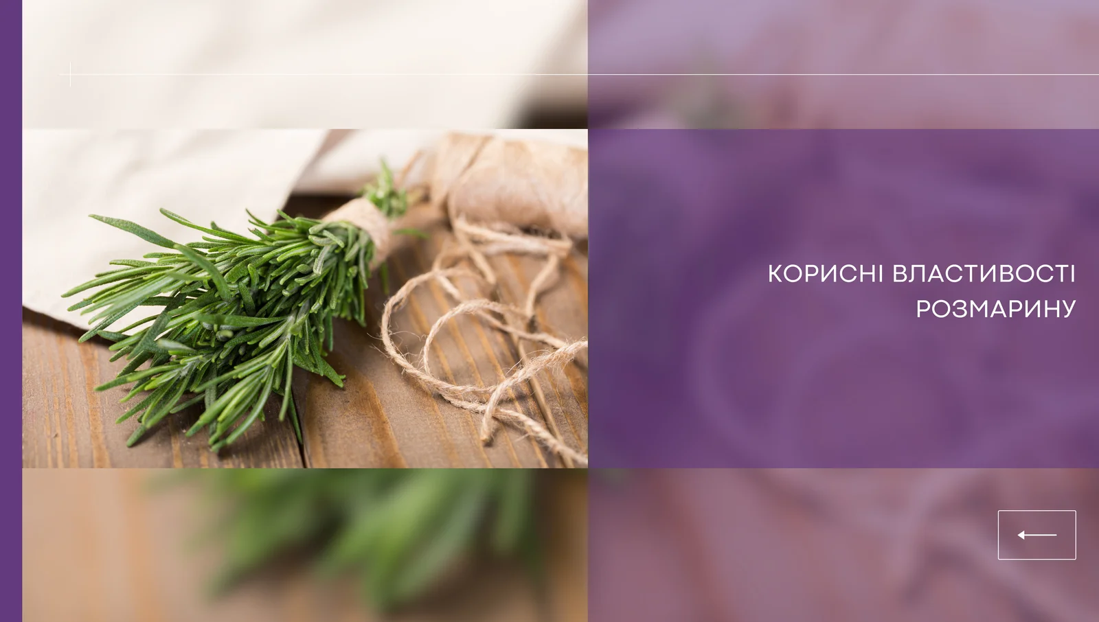 Корисні властивості розмарину