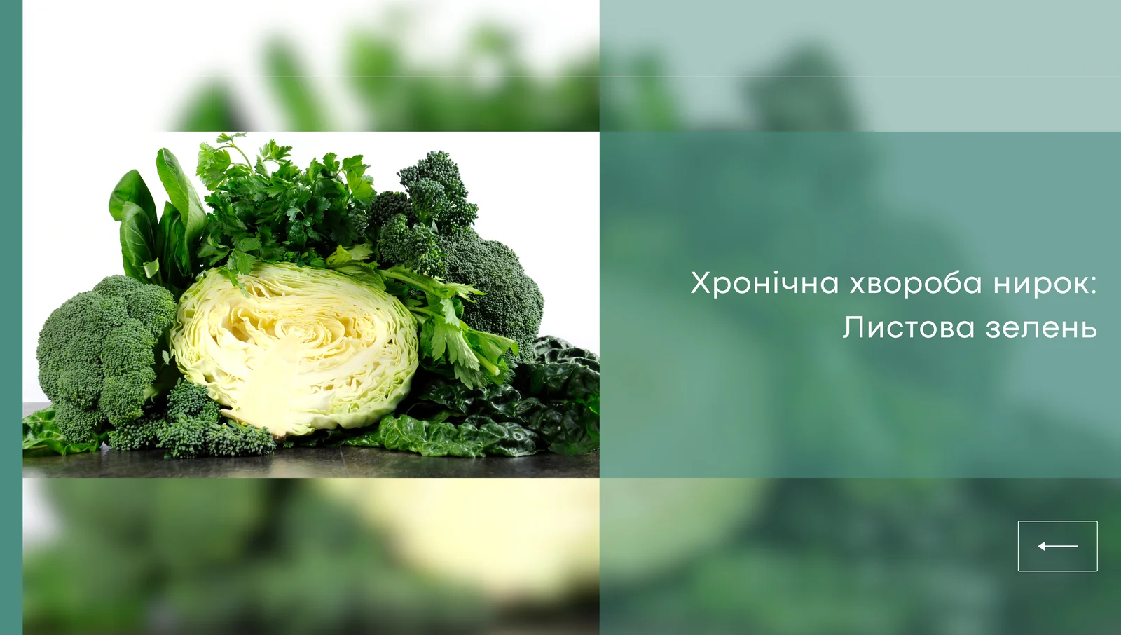 Харчування пацієнтів на гемодіалізі