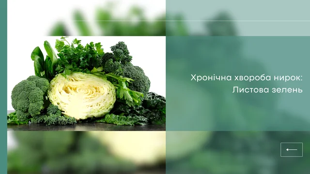 Харчування пацієнтів на гемодіалізі