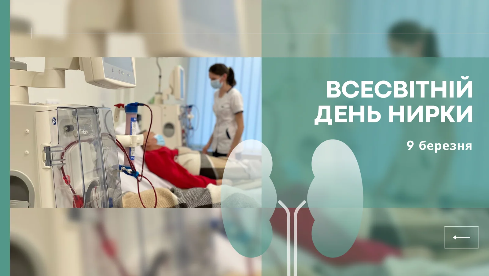 Всесвітній день нирки