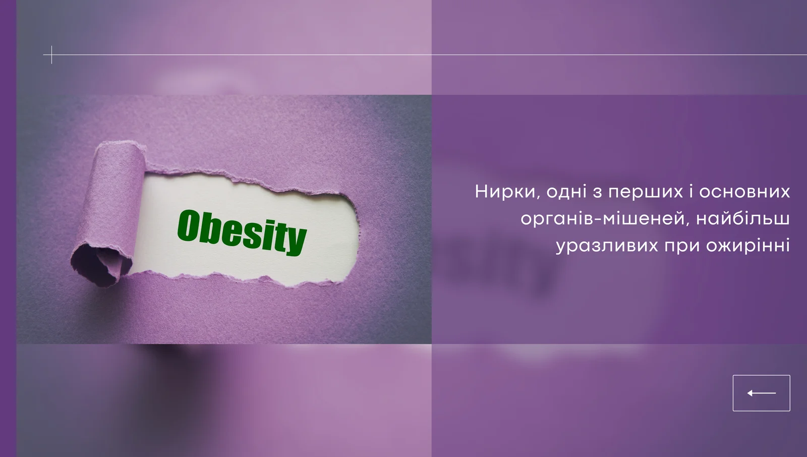 Ожиріння та функція нирок