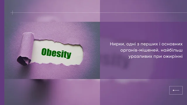 Ожиріння та функція нирок