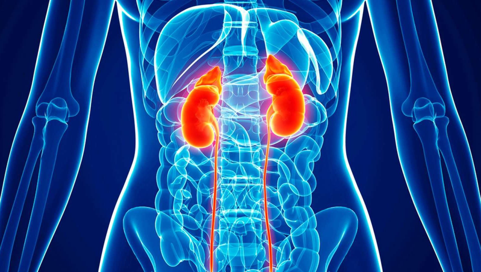 1546003722_wbz-understanding-kidney-cancer.jpg