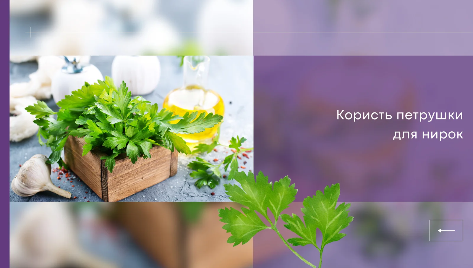 Користь петрушки для нирок
