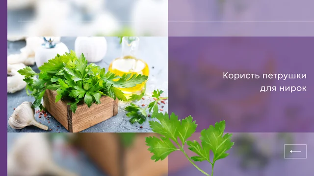 Користь петрушки для нирок