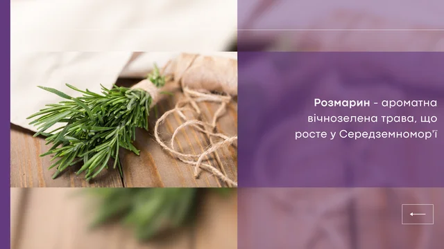 Цінні властивості розмарину для нирок