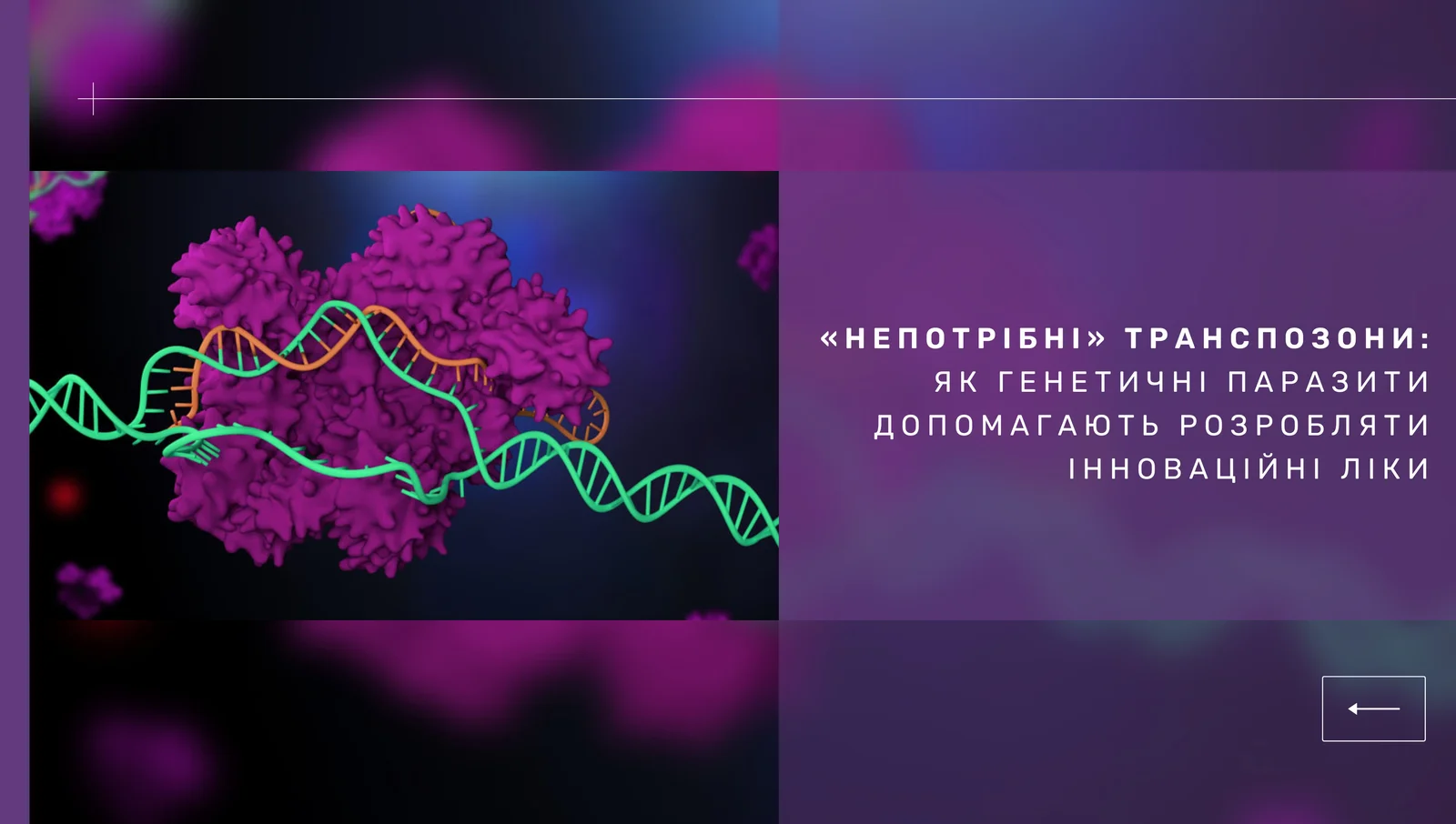 «Непотрібні» транспозони як генетичні паразити допомагають розробляти інноваційні ліки (1).jpg