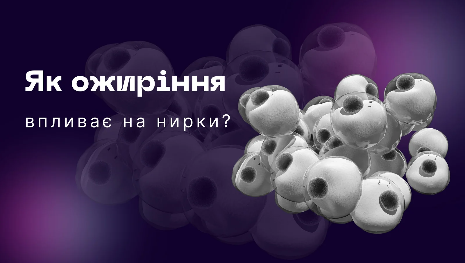 Вплив ожиріння на нирки