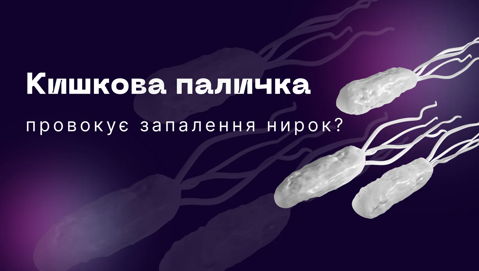Кишкова паличка та нирки