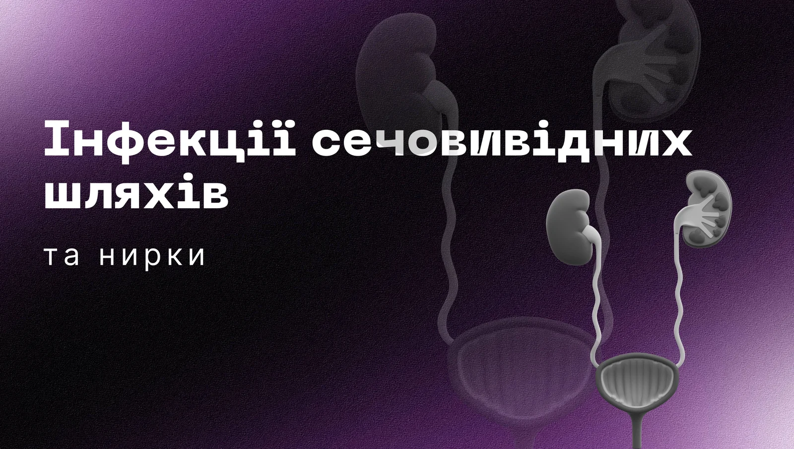 Інфекції сечовивідних шляхів є одними з найбільш поширених типів інфекцій