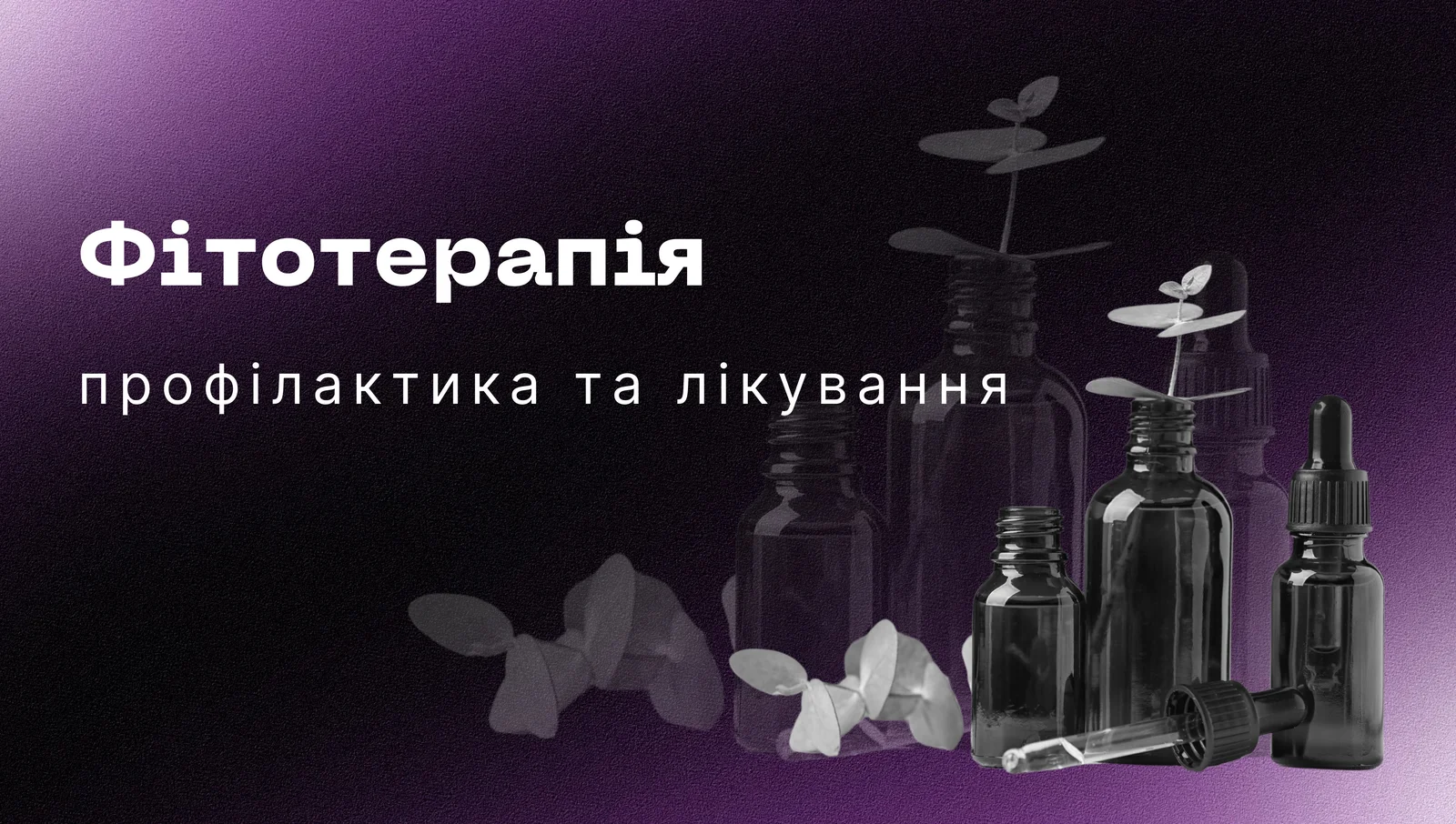 Фітотерапія: профілактика та лікування