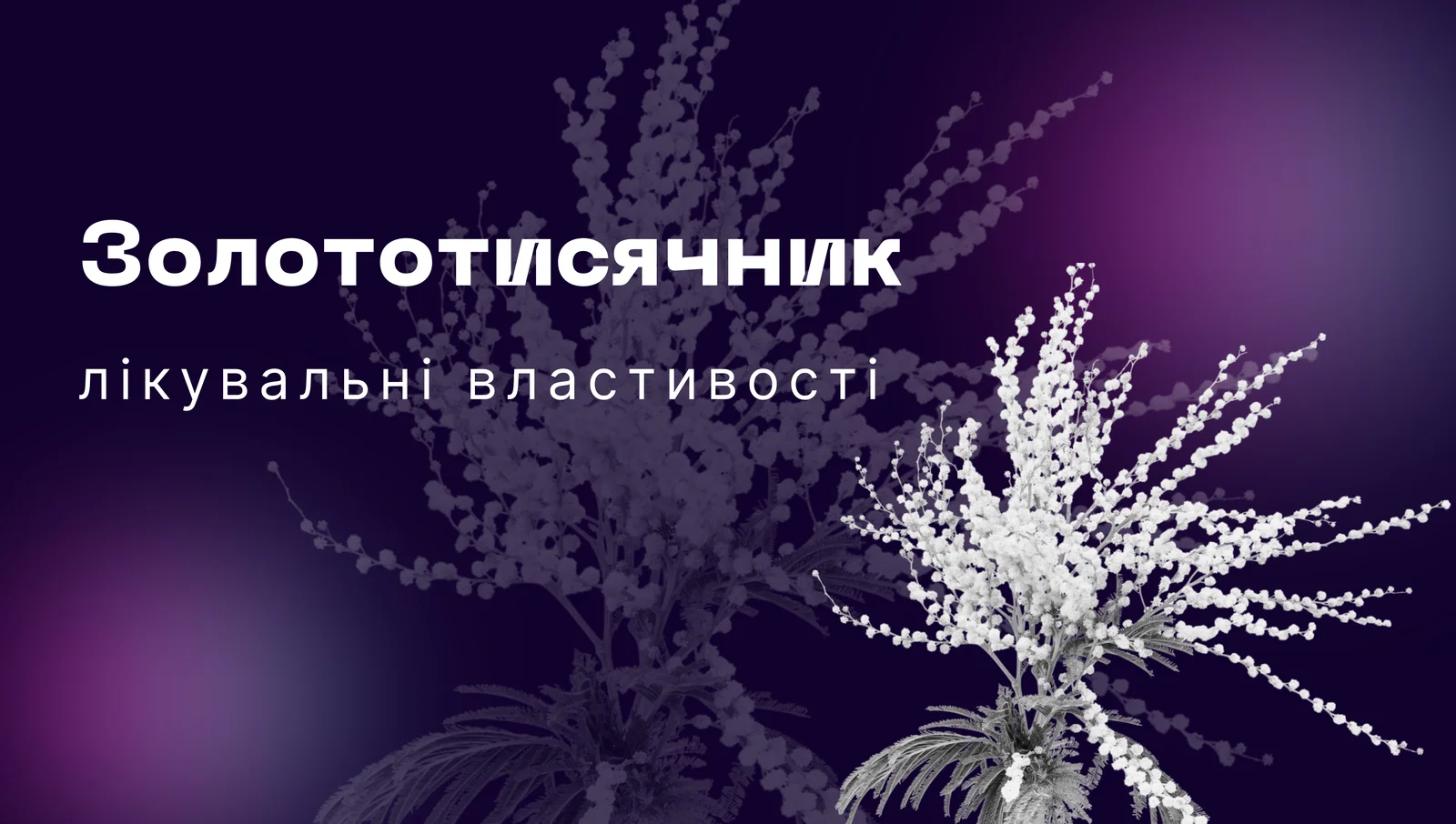 Золототисячник