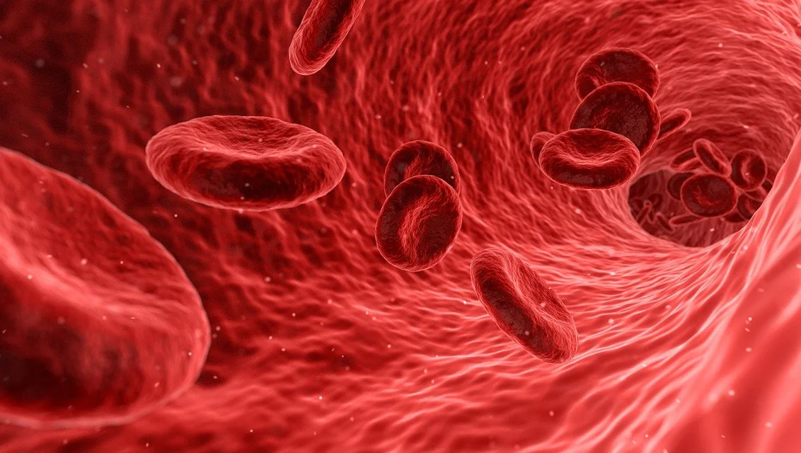 blood-1813410_1280.jpg