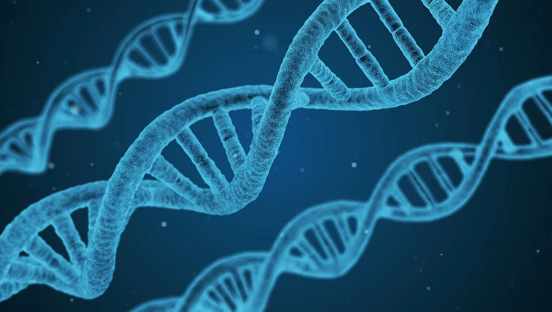 dna-1811955_1280.jpg