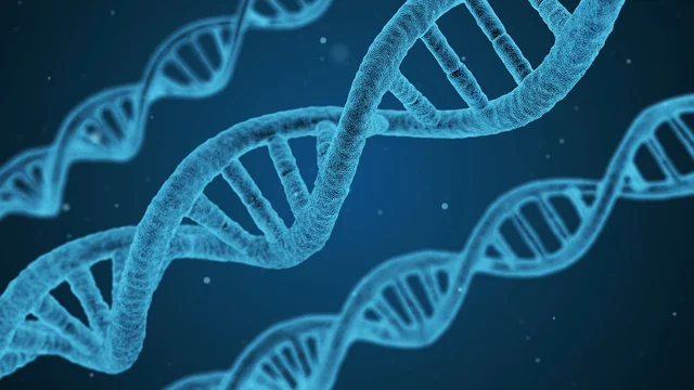 dna-1811955_1280.jpg