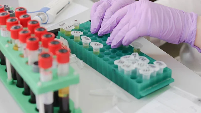 laboratory-3827739_1280.jpg