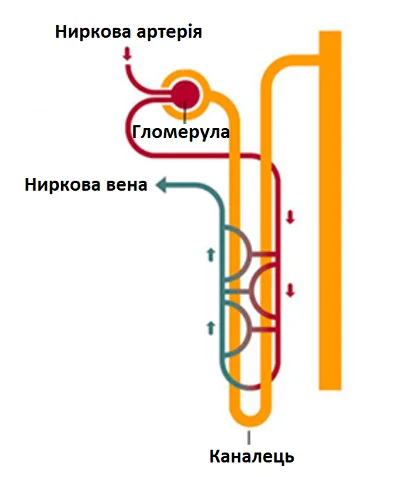 pic1.png